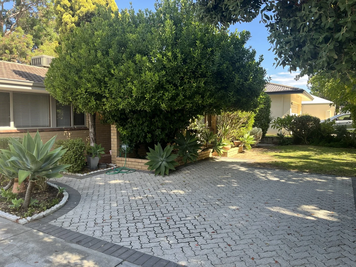 47 Pascoe Street, Karrinyup WA 6018