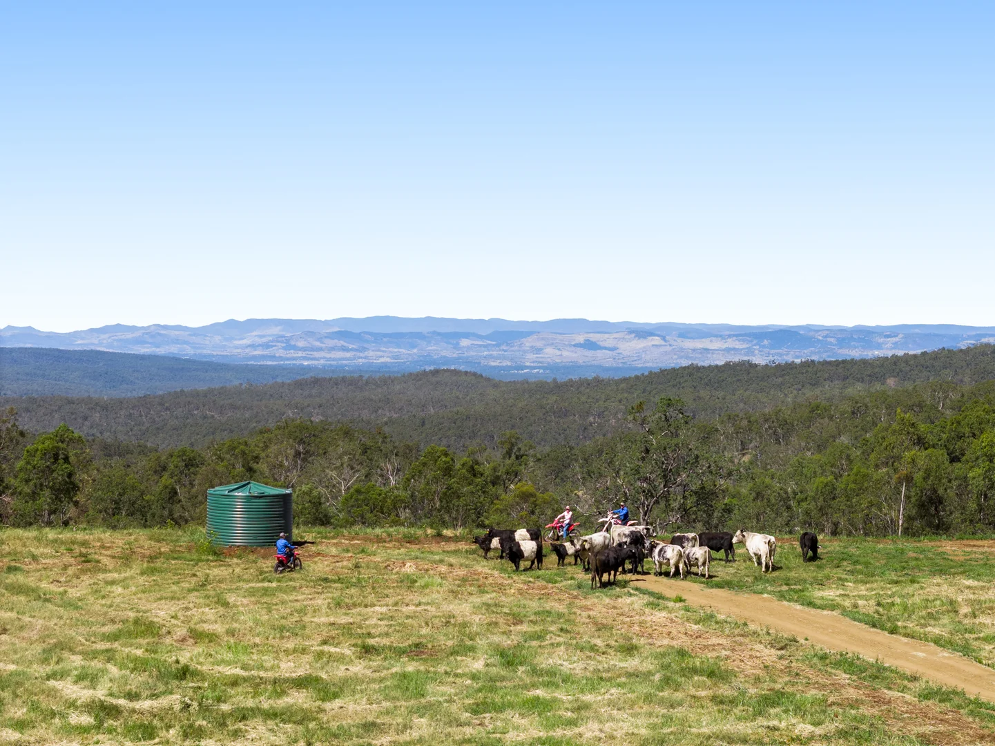 Additional image 2 of "Bellbird Ridge" Lot 445 Ted Road, Geham QLD 4352