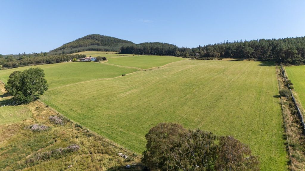 Additional image 14 of Land for saleWester Moy Farm, Muir Of Ord, Ross-Shire IV6