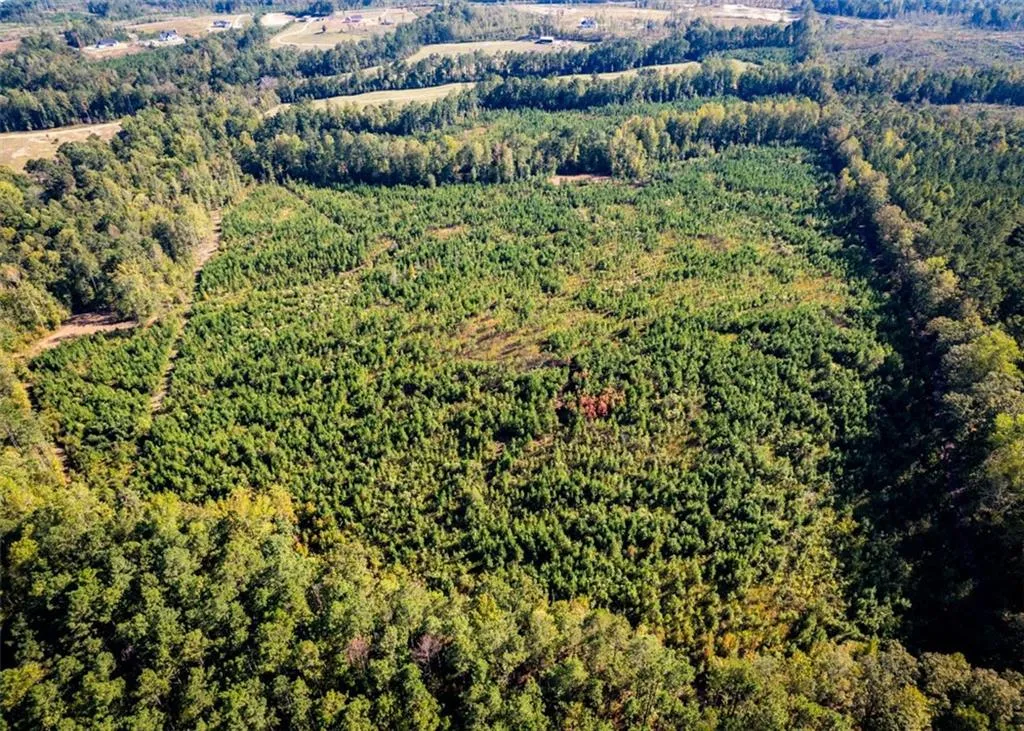 Additional image 24 of Lee Rd 334, Salem, AL 36874