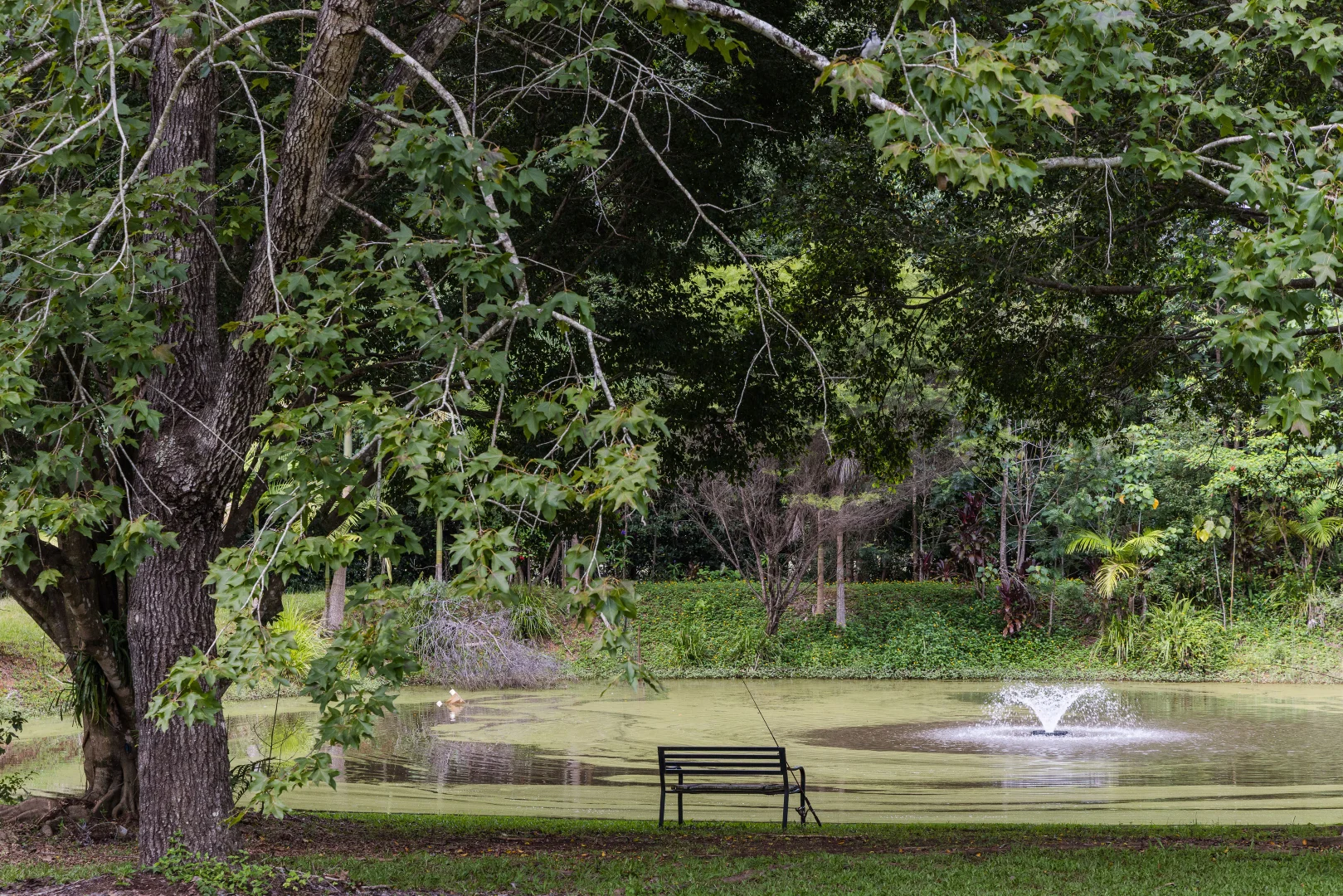 Additional image 2 of 15-31 Neeraway Road, Eerwah Vale QLD 4562