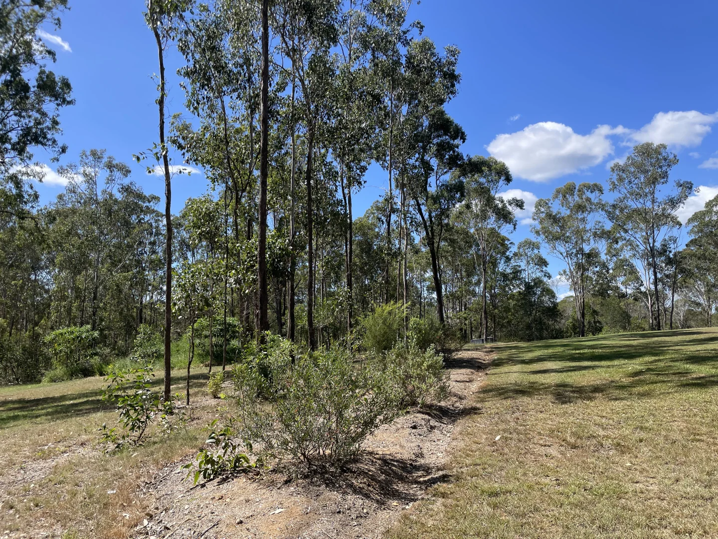 Additional image 24 of 67 Brayden Court, Imbil QLD 4570