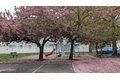 Additional image 31 of 10 Beacon Ct, Holmdel, NJ, 07733