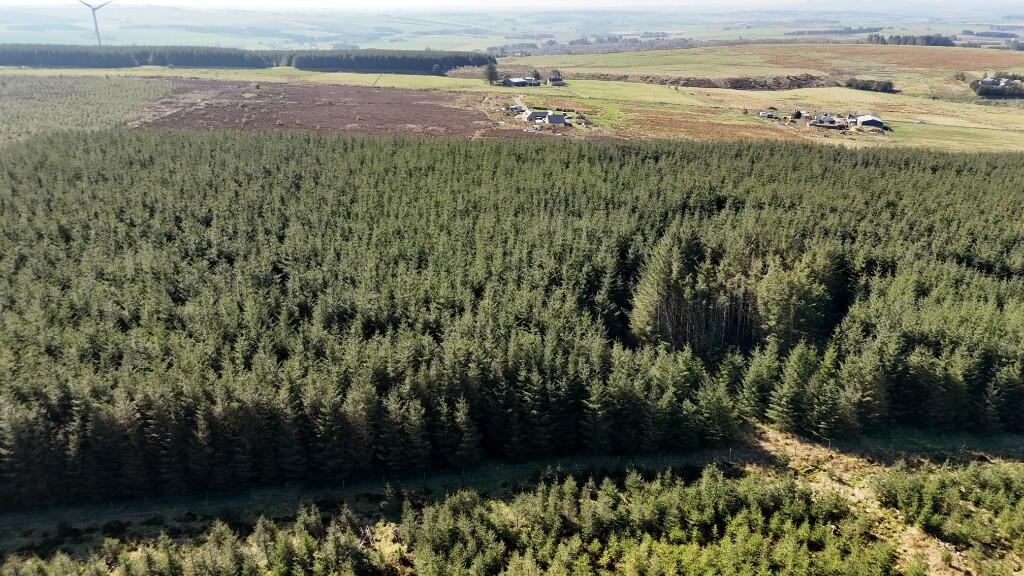 Additional image 11 of Woodland at Broadmuir, Hill of Fisherie, Turriff, AB53 5QL