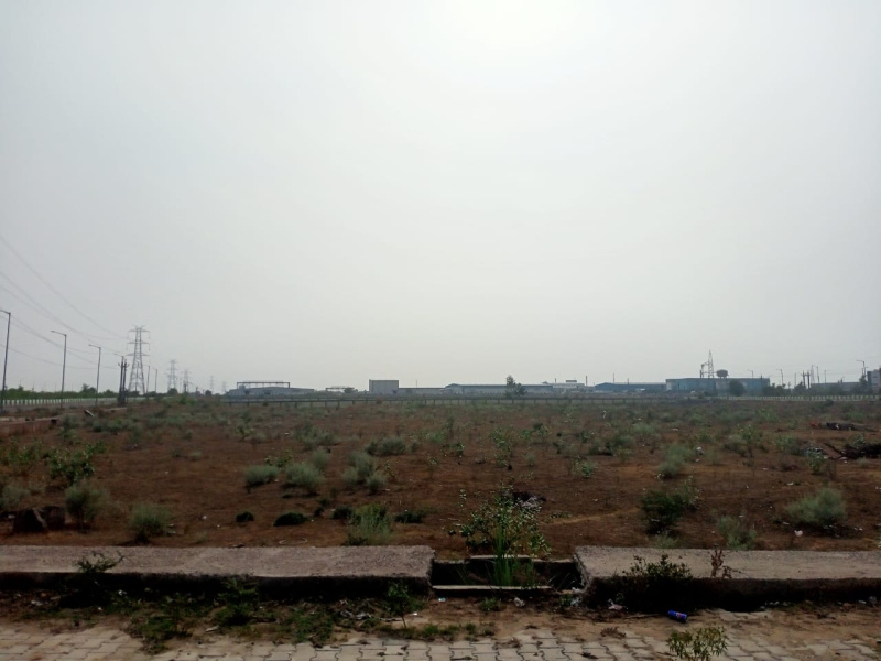 RIICO Industrial Area, Bhiwadi photo 3