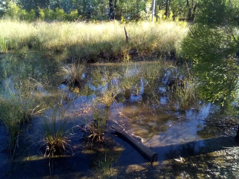 Additional image 8 of Lot 71 Males Drive, Tara QLD 4421