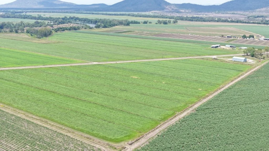 Additional image 11 of 625 Shirbourne Road, Giru QLD 4809