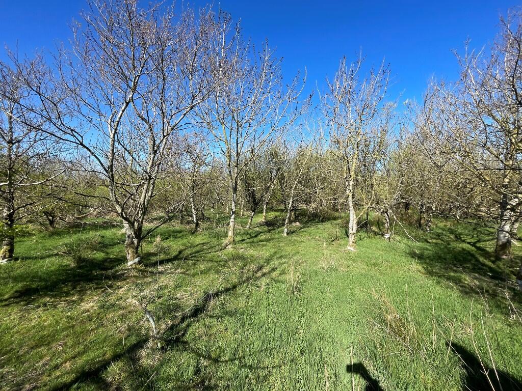 Additional image 22 of Woodland at Broadmuir, Hill of Fisherie, Turriff, AB53 5QL