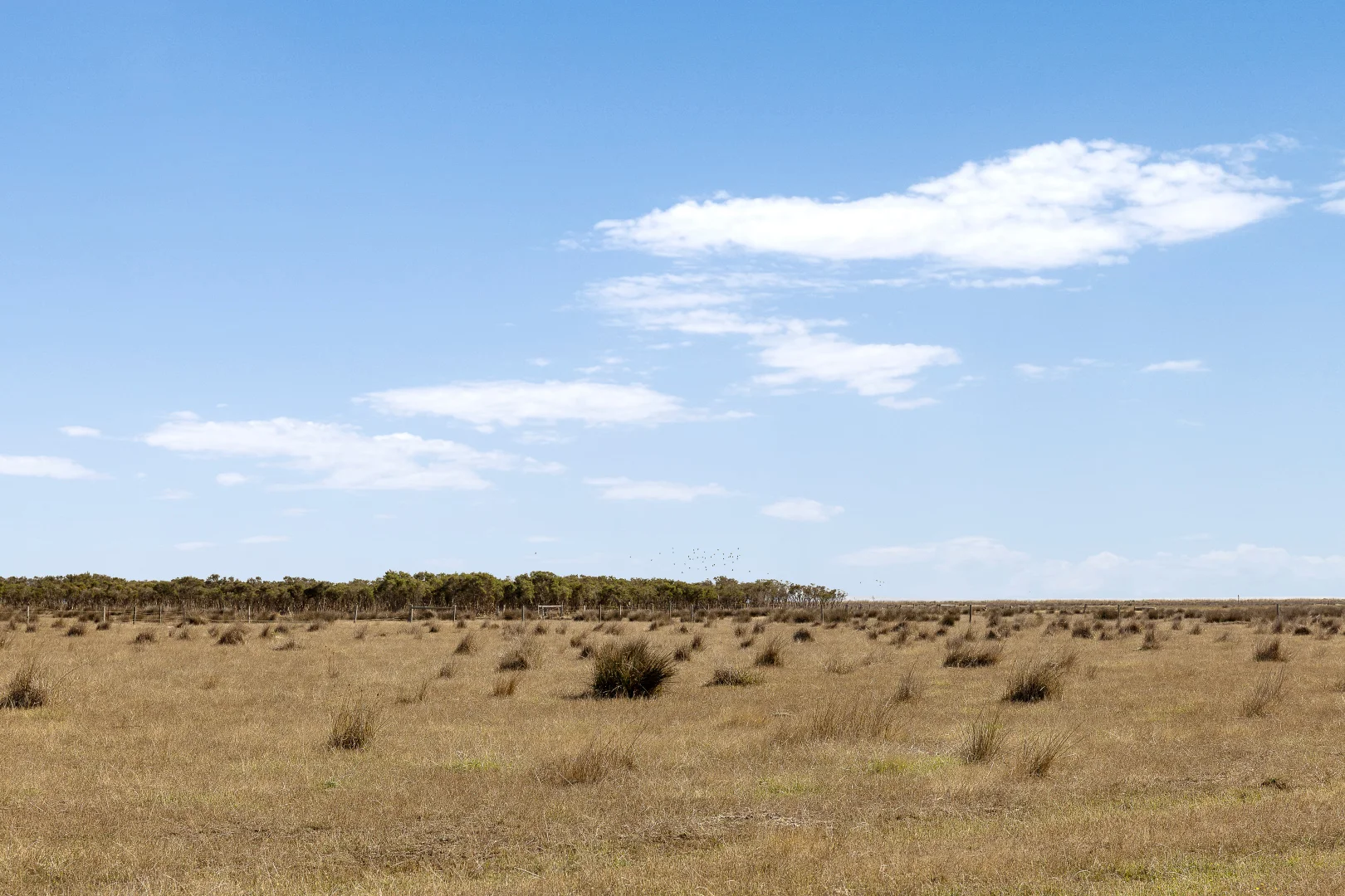 Additional image 9 of 390A Stanlakes Road, Lang Lang VIC 3984
