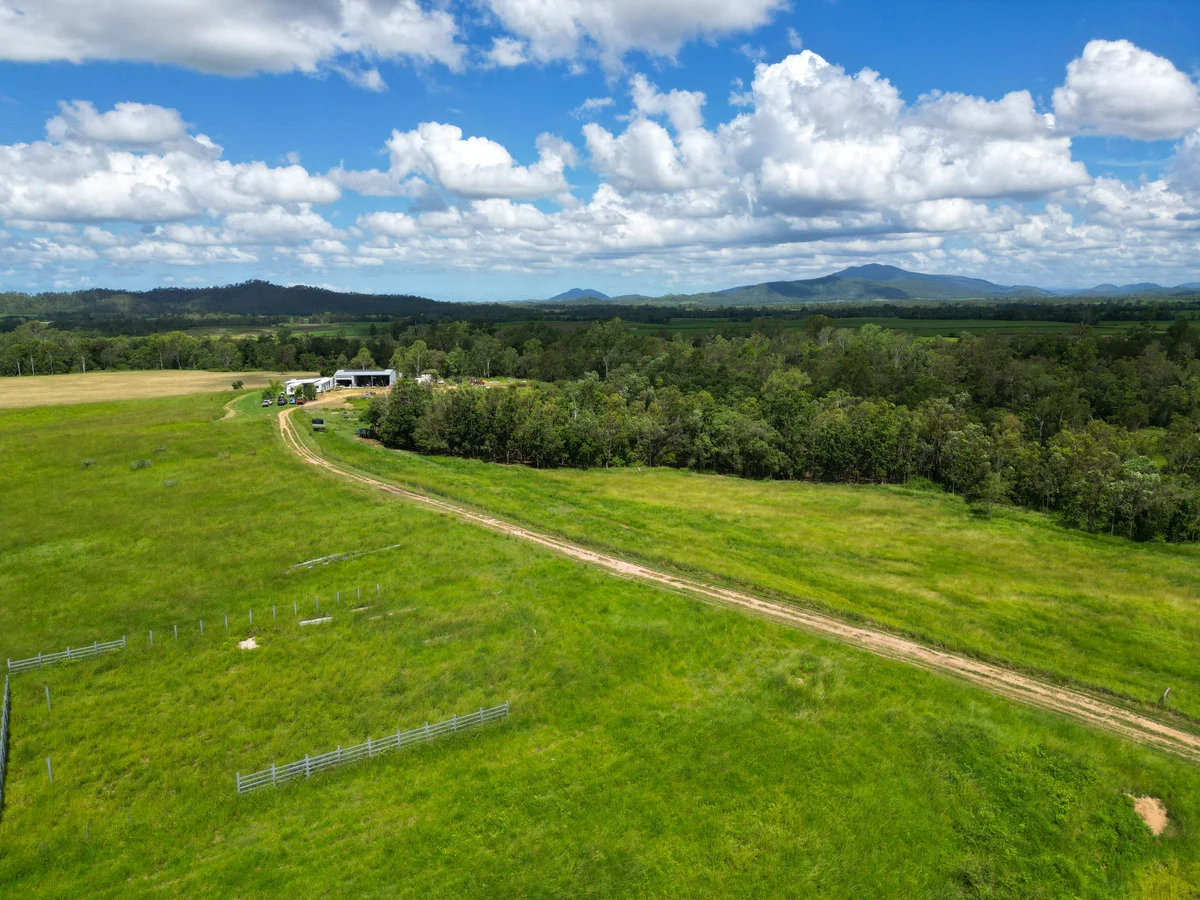 Additional image 5 of 353 Pinnacle-Septimus Road, Pinnacle QLD 4741