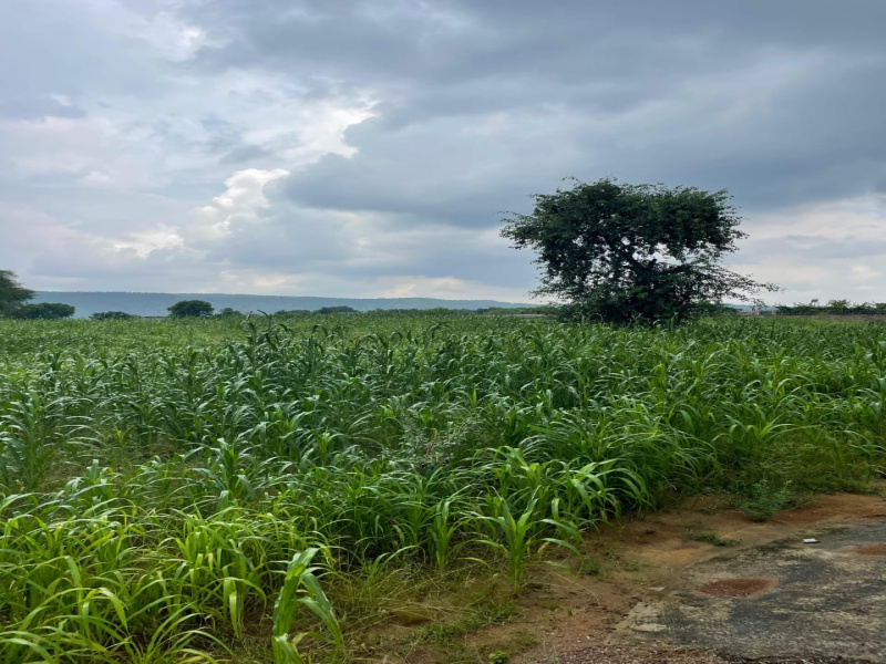 Naugaon, Alwar