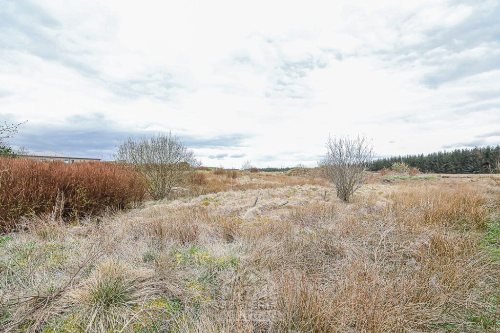 Additional image 5 of Land for saleLand On Muirlaun, Forth, Lanark ML11
