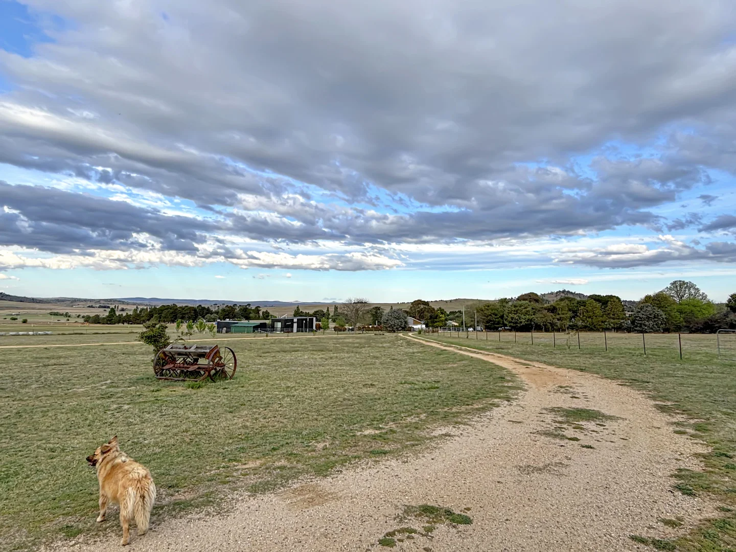 Additional image 15 of 24 Brown Street, Berridale NSW 2628