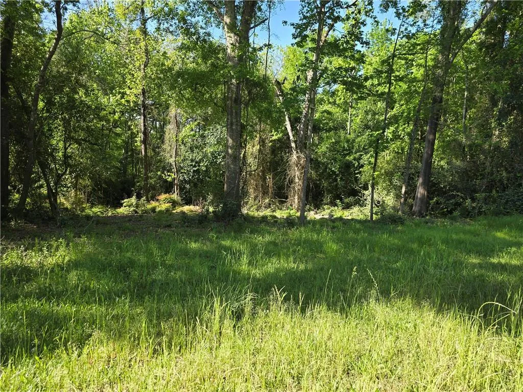 Country Club Drive, Eufaula, AL 36027