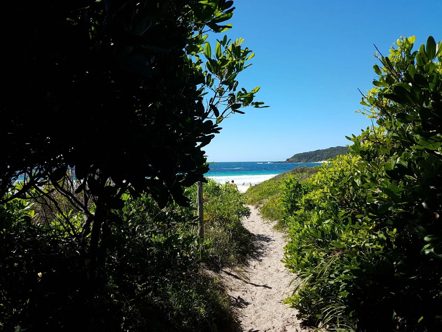 Additional image 13 of 3 Ridgeline court, Elizabeth Beach NSW 2428