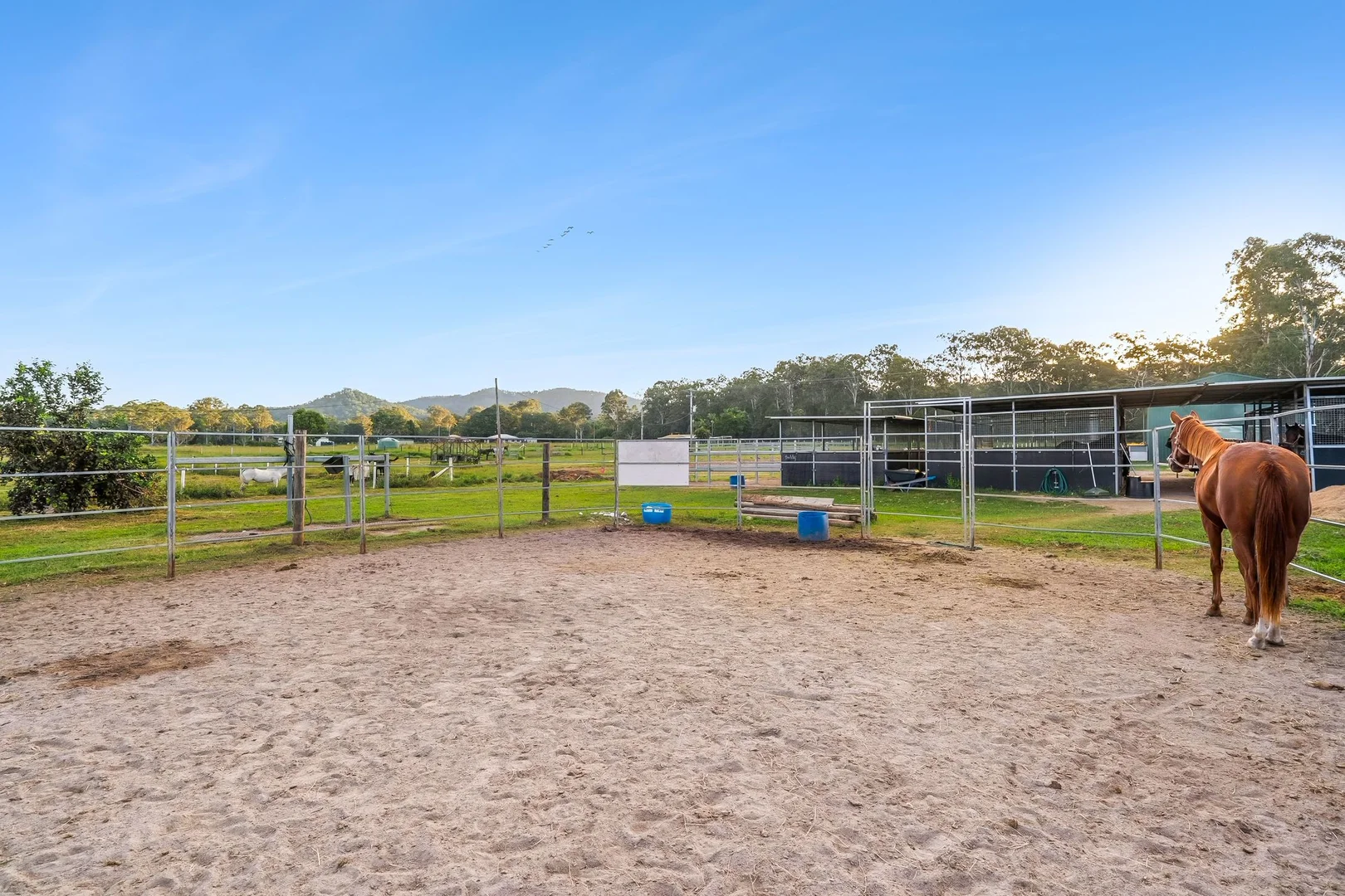 Additional image 15 of 150 Nonmus Road, Stanmore QLD 4514