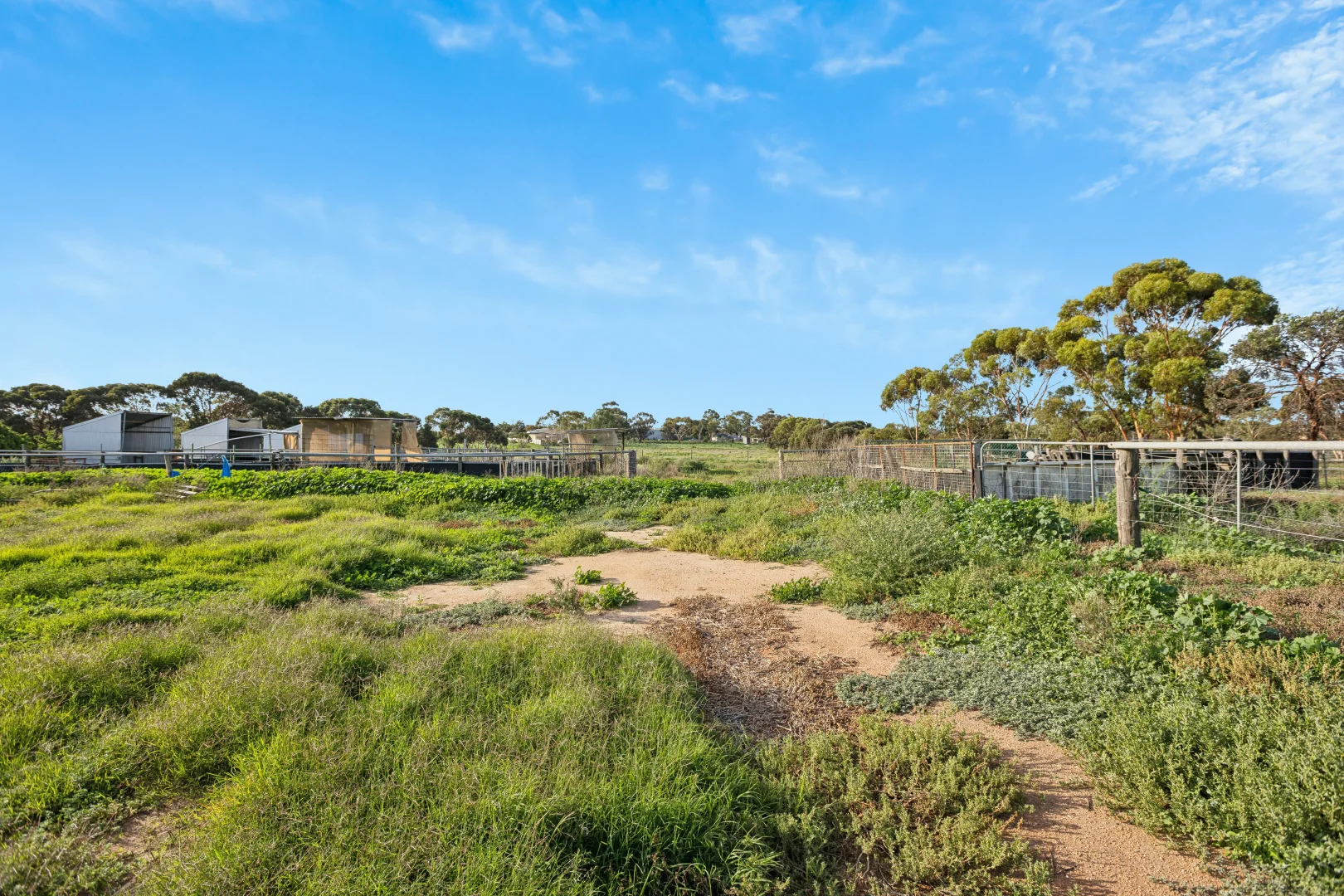 Additional image 23 of 40 Old Swanport Road, Murray Bridge SA 5253