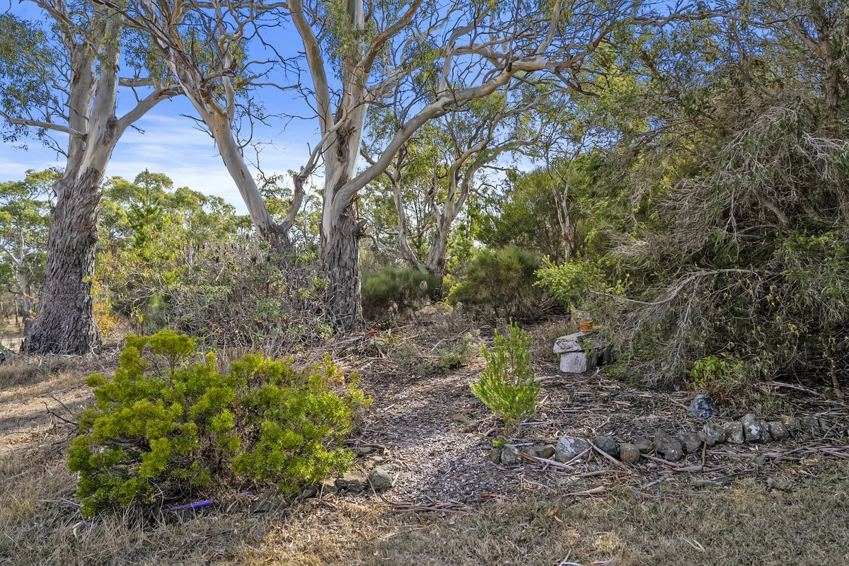 Additional image 24 of 27 Francis Street, Swansea TAS 7190