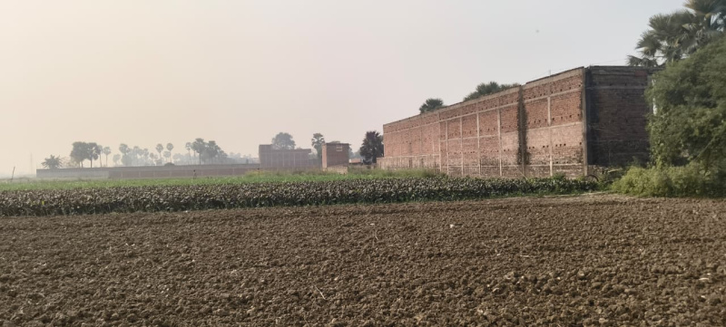 Beldari Chak, Patna photo 2