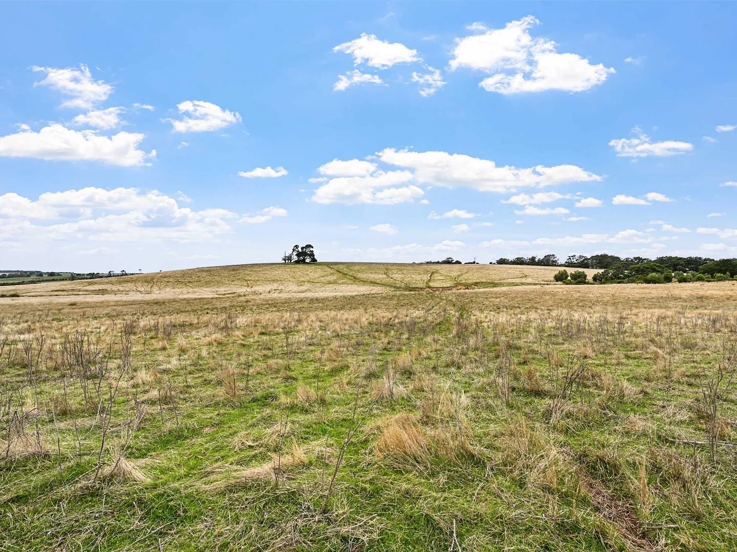 Additional image 17 of 4231 Dartmoor-Hamilton Road, Grassdale VIC 3302