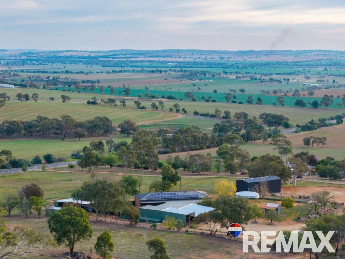 Additional image 24 of 3779 Olympic Highway, Junee NSW 2663
