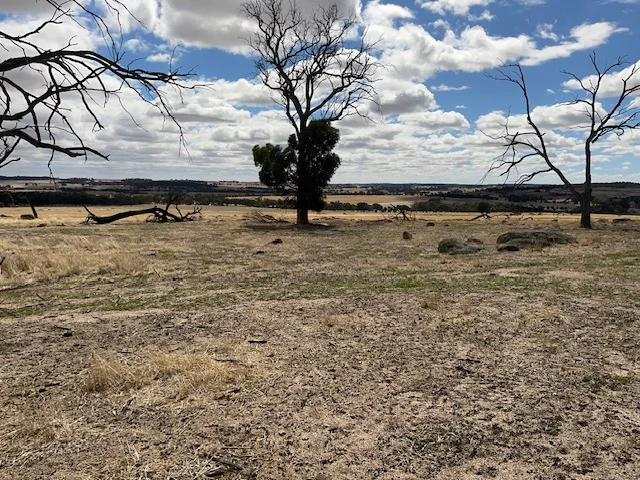 Additional image 11 of 351 Cooke Road, East Popanyinning WA 6309