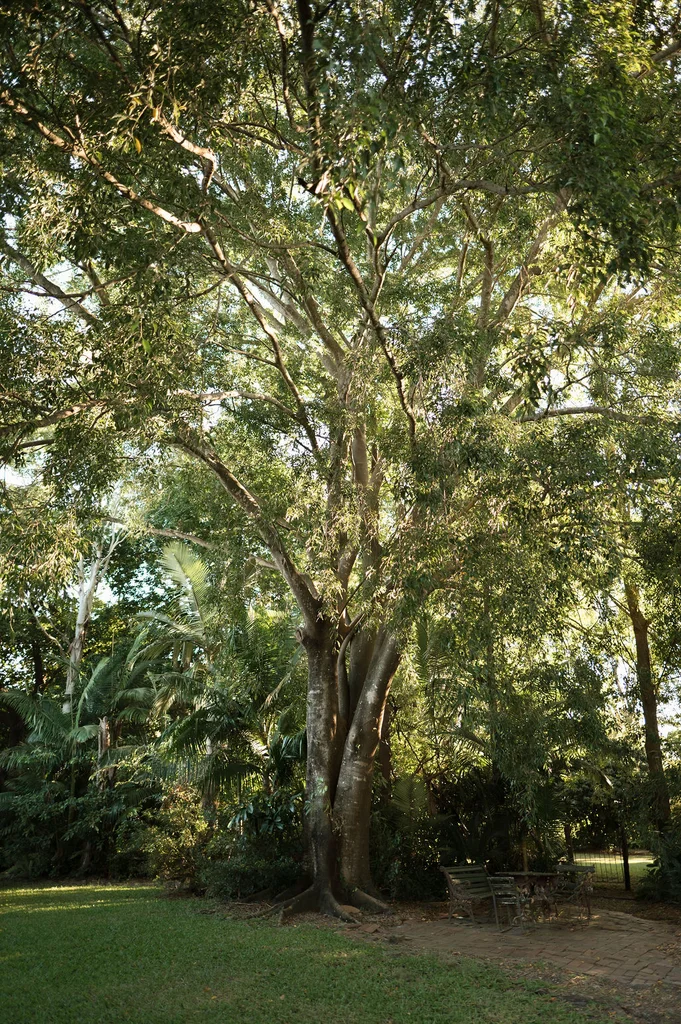 Additional image 22 of 5 Wolfenden Road, Calavos QLD 4670
