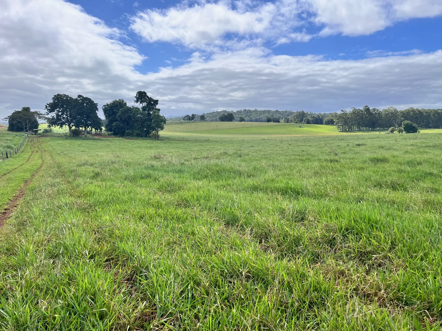 Additional image 11 of Lot 2 Lake Barrine Road, Lake Eacham QLD 4884