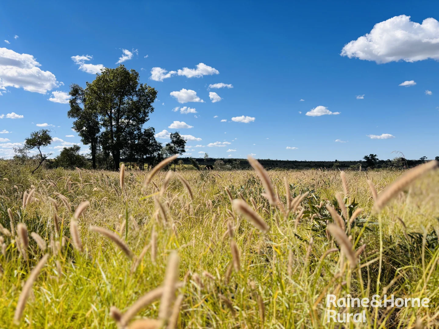 Additional image 10 of 640 Carrington Road, Roma QLD 4455