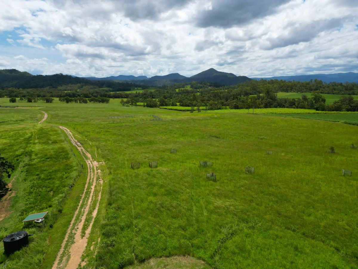 Additional image 15 of 353 Pinnacle-Septimus Road, Pinnacle QLD 4741