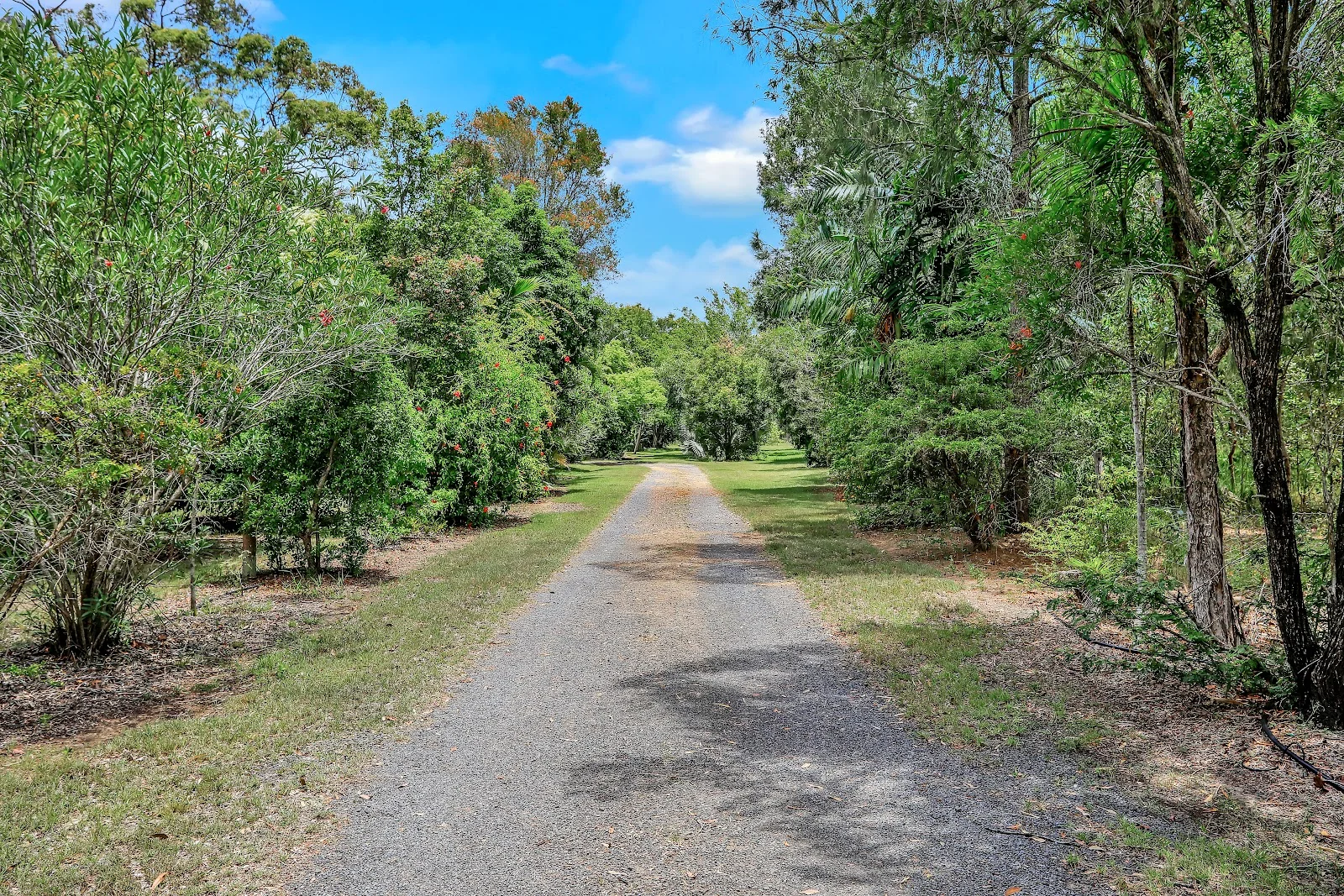 Additional image 4 of 286 Vecellios Road, Moorland QLD 4670