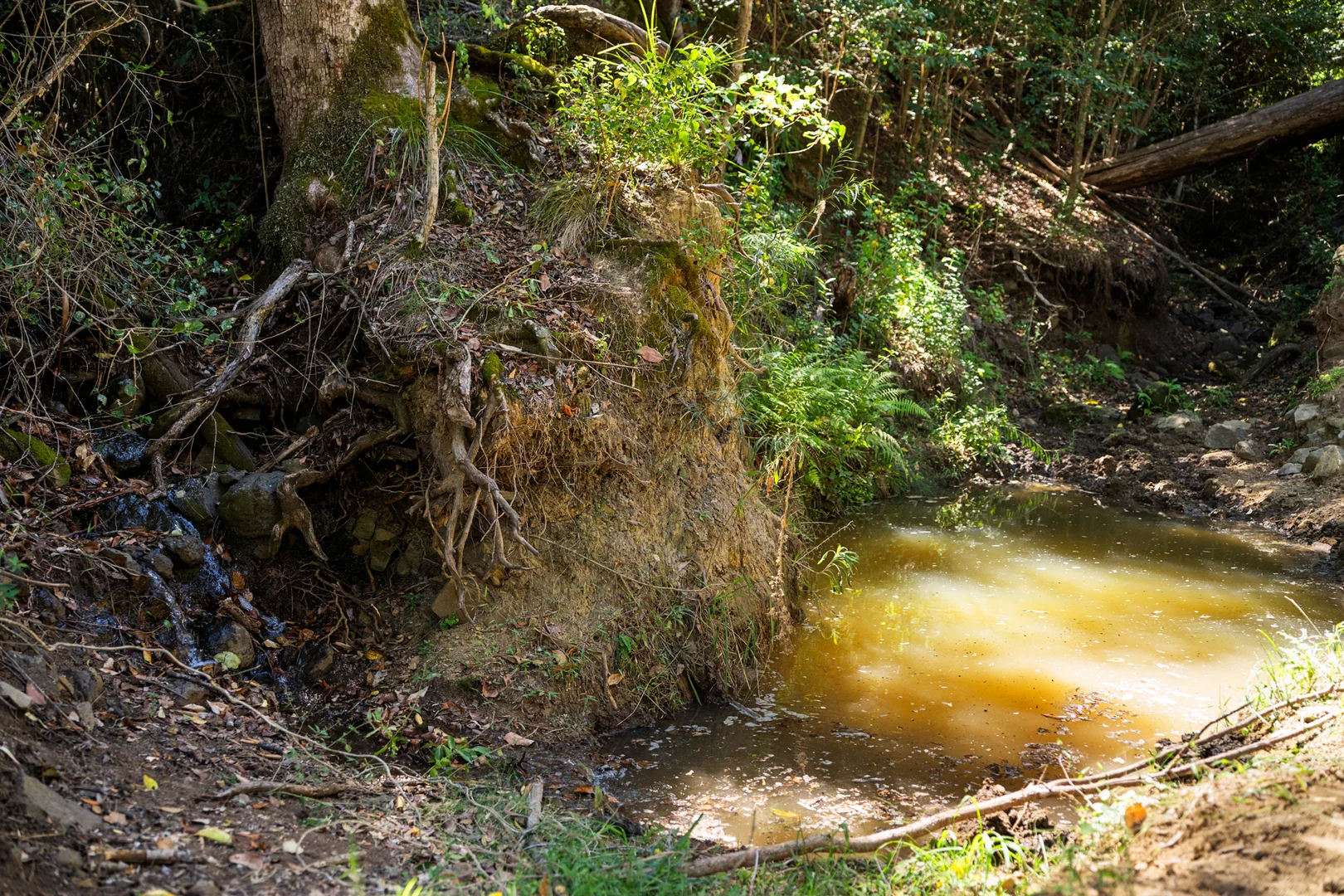 Additional image 18 of "Bellbird Ridge" Lot 445 Ted Road, Geham QLD 4352