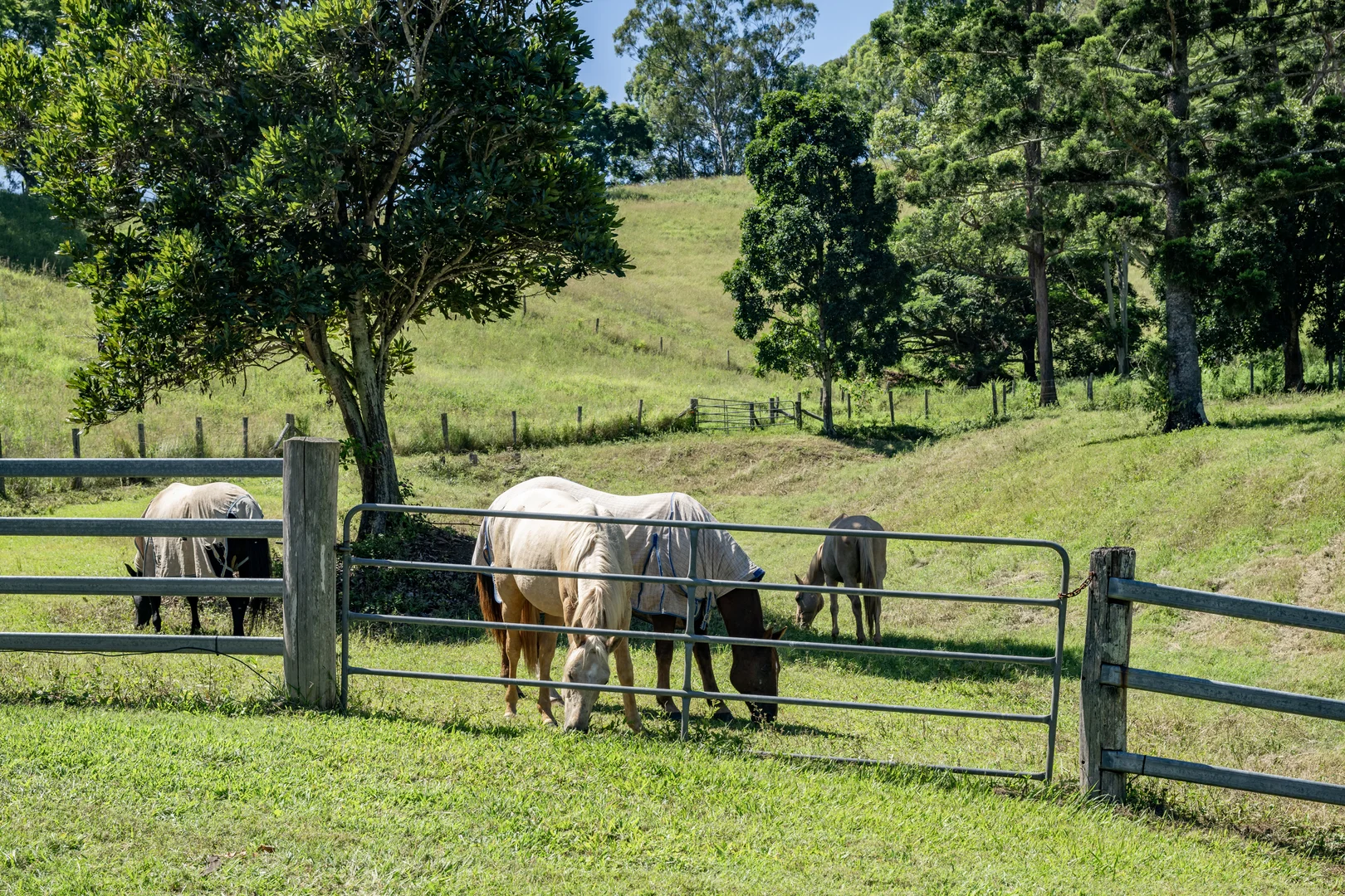 Additional image 30 of 55 Jerry Creek Road, Langshaw QLD 4570