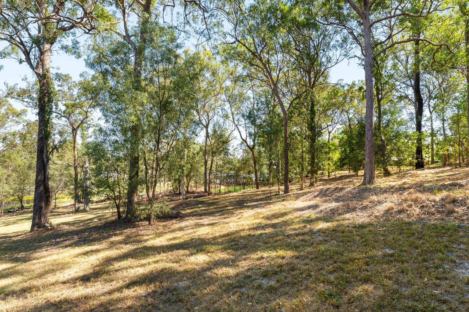 Additional image 23 of 61-67 Sheree Court, Buccan QLD 4207