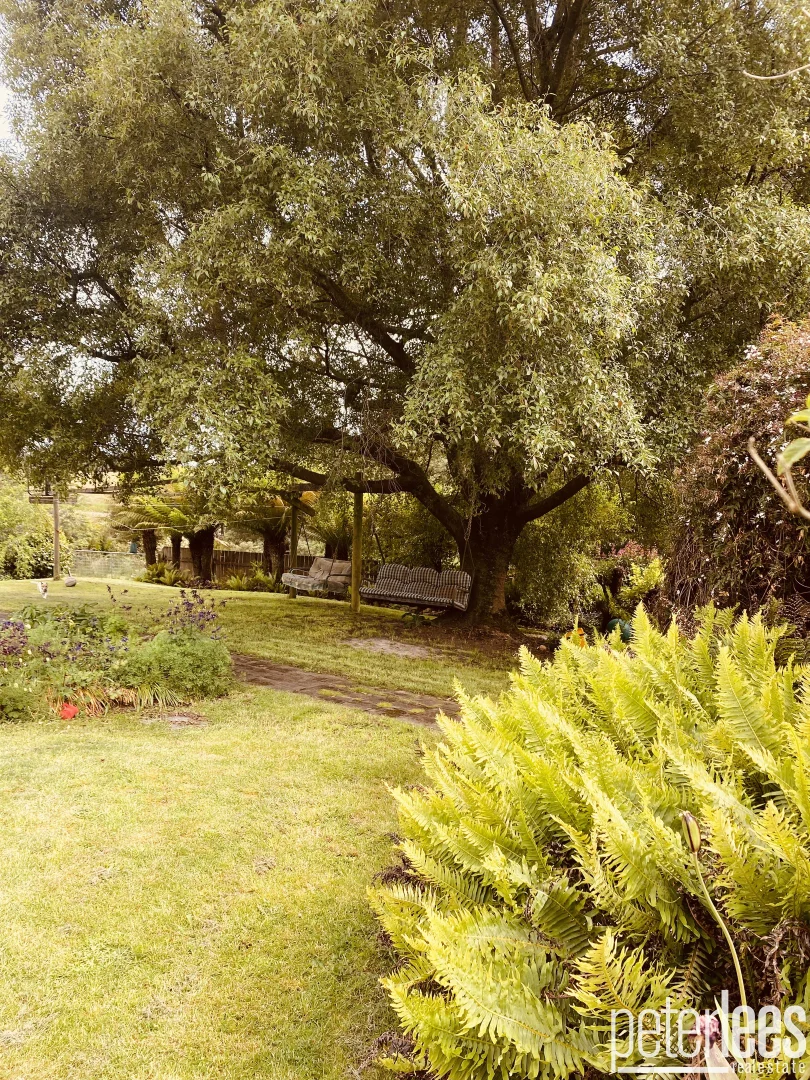 Additional image 16 of 651 Golconda Road, Lebrina TAS 7254