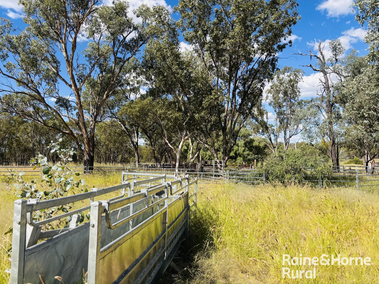 Additional image 20 of 640 Carrington Road, Roma QLD 4455
