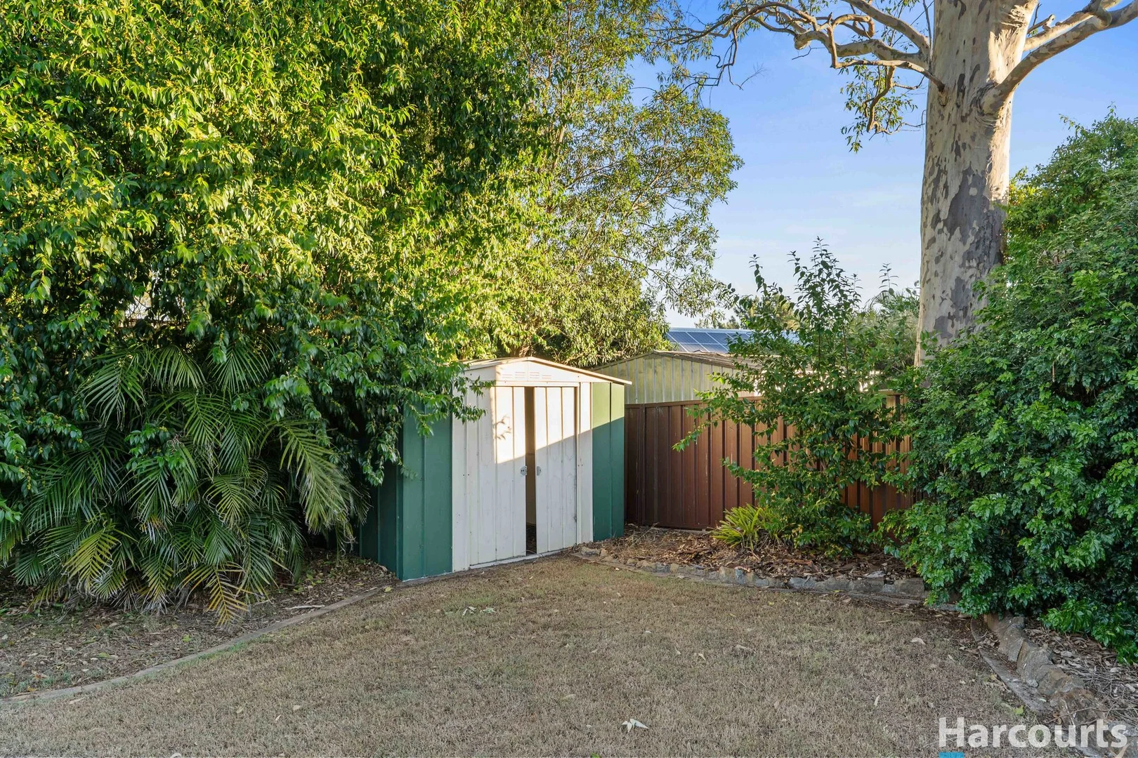 Additional image 19 of 231 Paterson Road, Bolwarra Heights NSW 2320