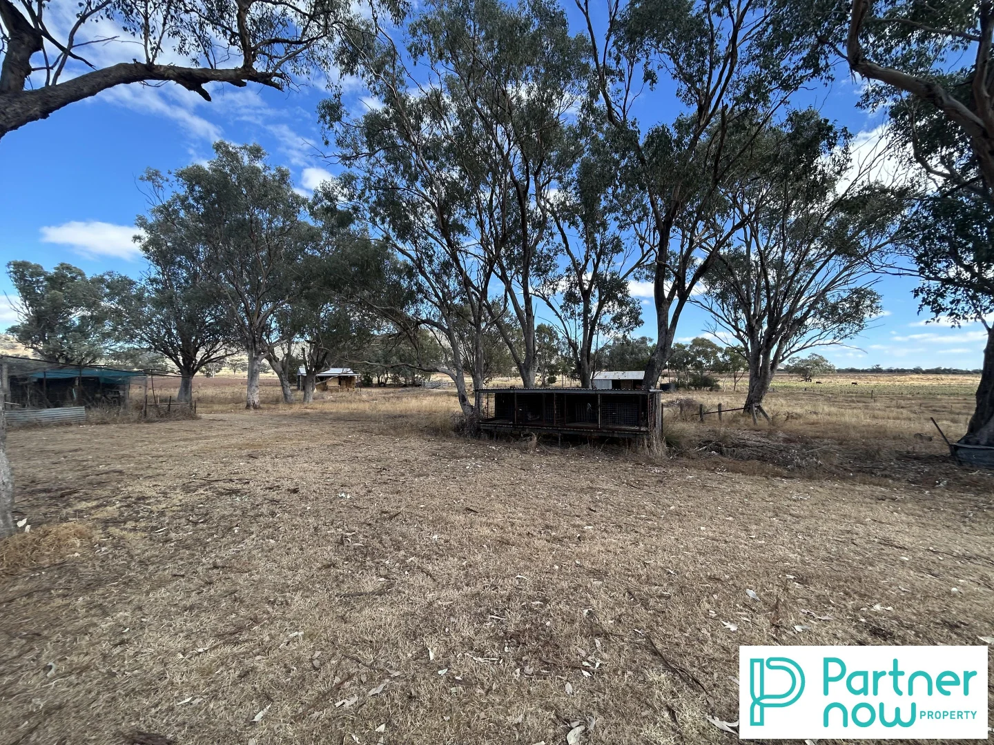Additional image 16 of 113 Partlins Lane, Duri NSW 2344
