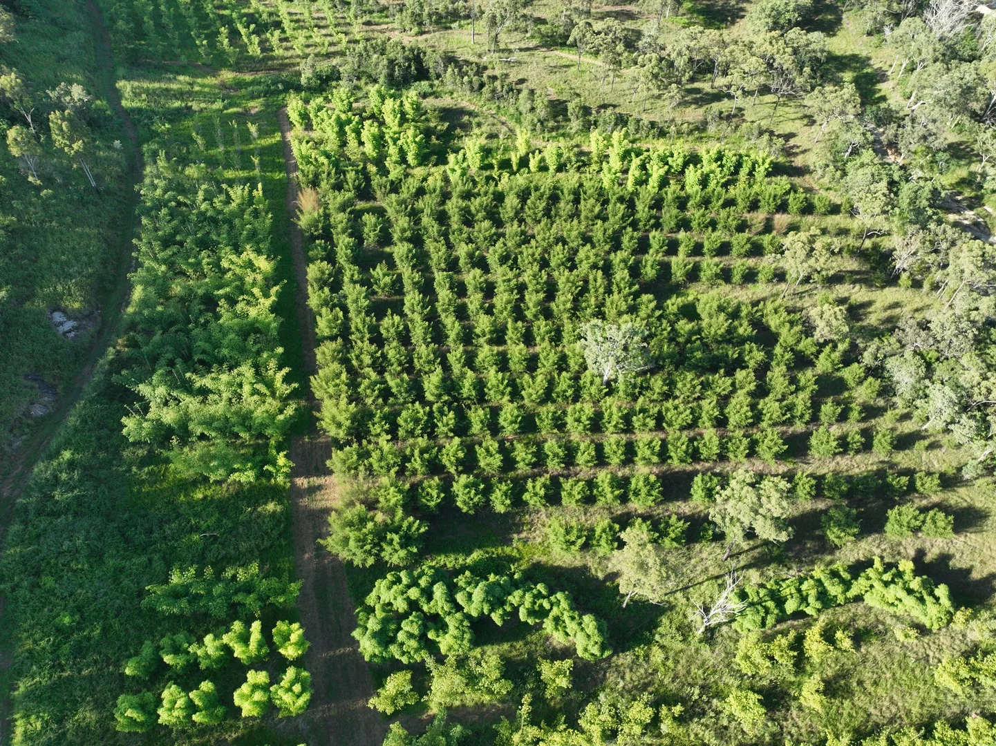 Additional image 9 of 45 Carmila West Road, Carmila QLD 4739