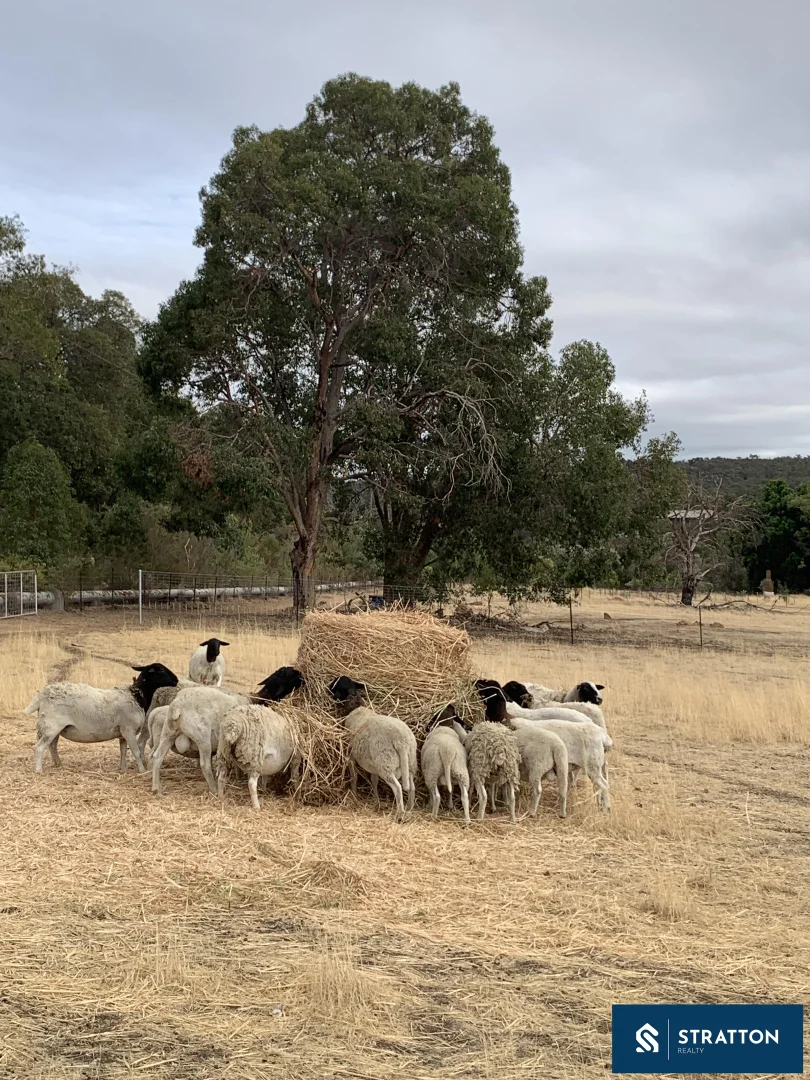 Additional image 5 of 29 Vineyard Road, Wundowie WA 6560