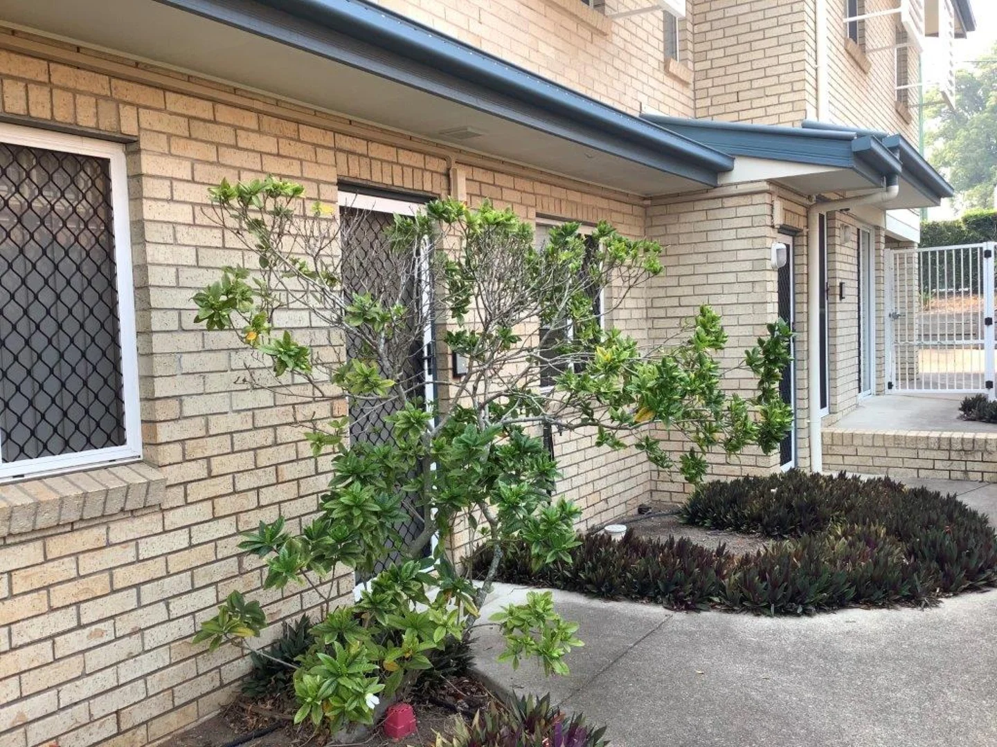 Additional image 4 of 13/26 Yamboyna Street, Manly QLD 4179
