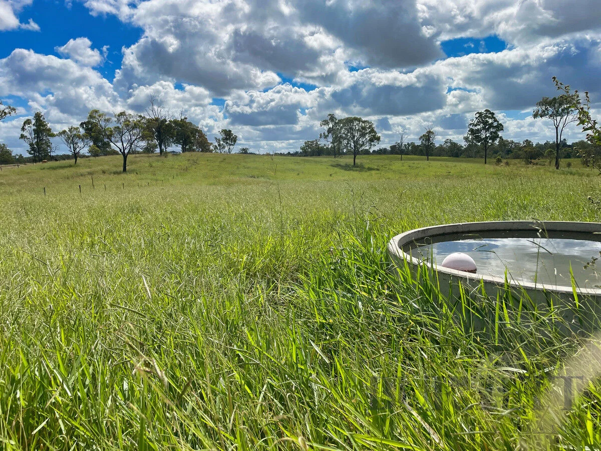 Additional image 6 of 595 Walla Road, Morganville QLD 4671