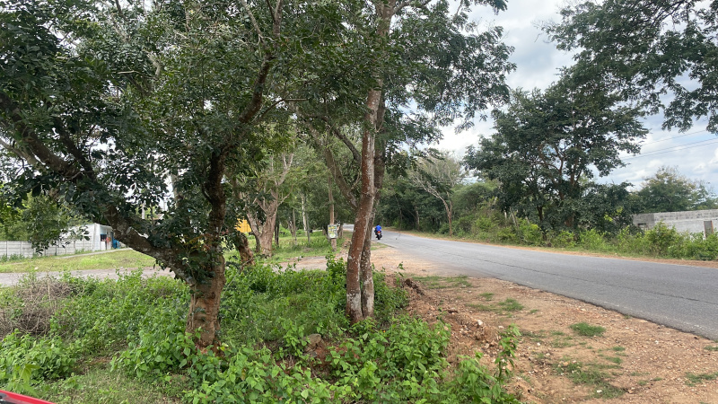 Jayapura, Mysore