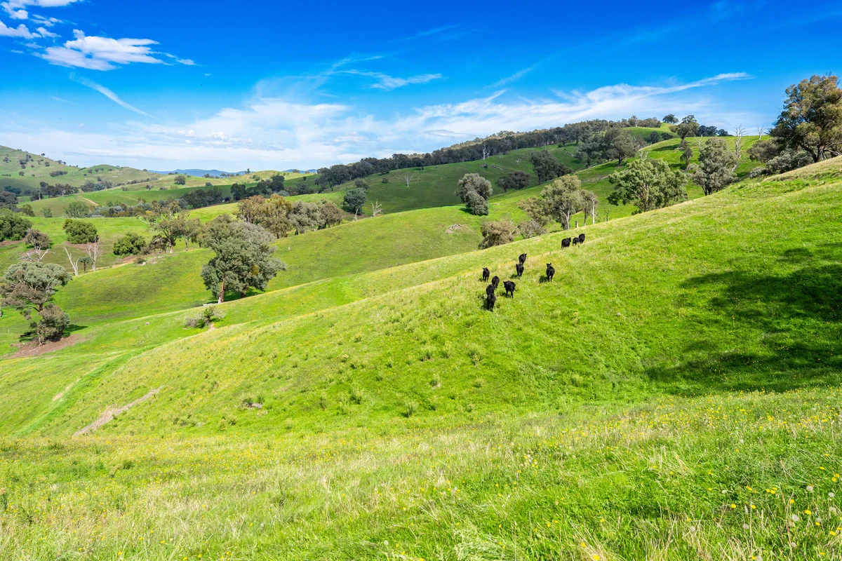 Additional image 19 of Sandy Creek Road, Sandy Creek VIC 3695