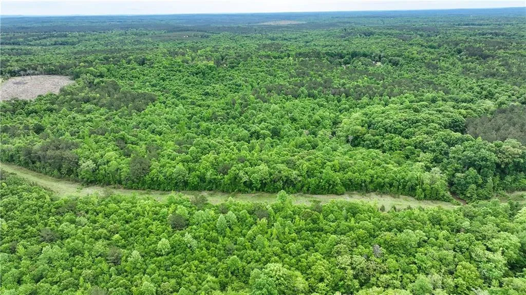 Additional image 3 of 1850 Lee Rd 140, Salem, AL 36874