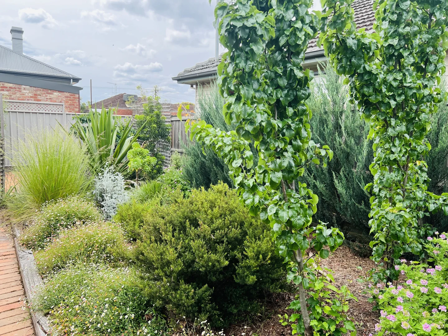 Additional image 14 of 156 Olinda St, Quarry Hill VIC 3550