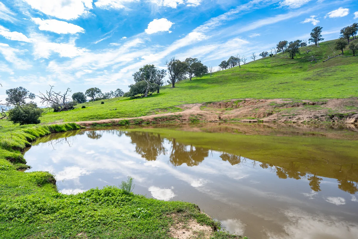 Additional image 8 of Sandy Creek Road, Sandy Creek VIC 3695