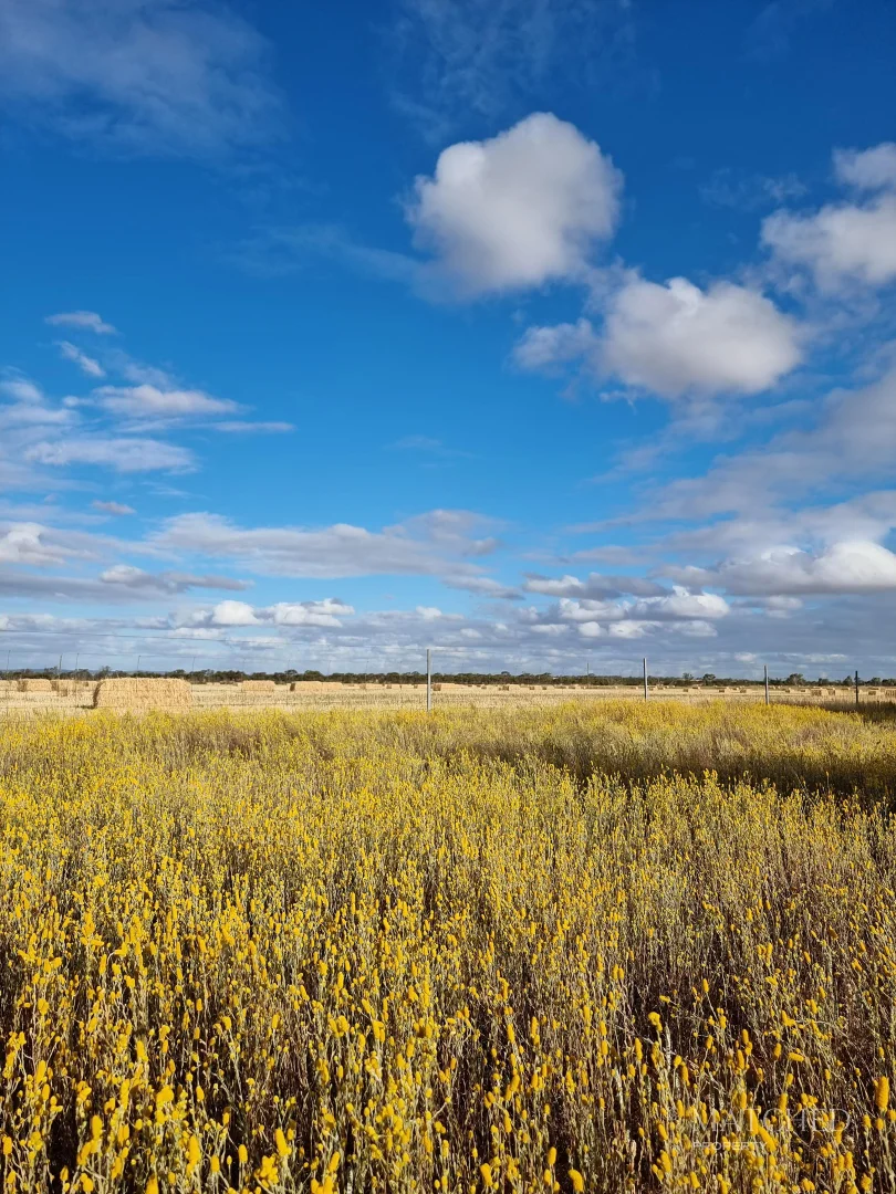 Additional image 21 of 9088 Mullewa-Wubin Road, Morawa WA 6623