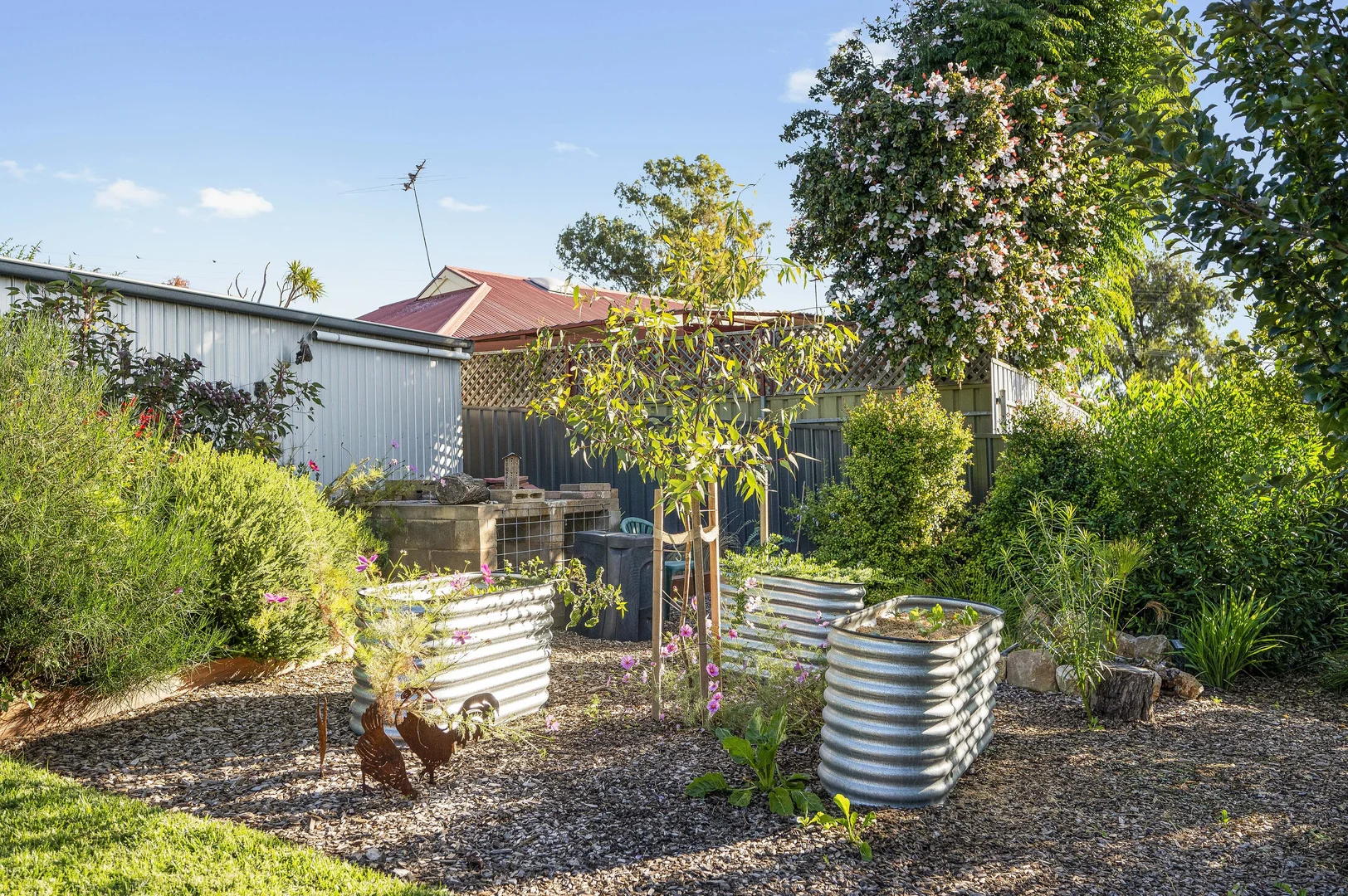 Additional image 27 of 3 Chapman Avenue, McLaren Vale SA 5171