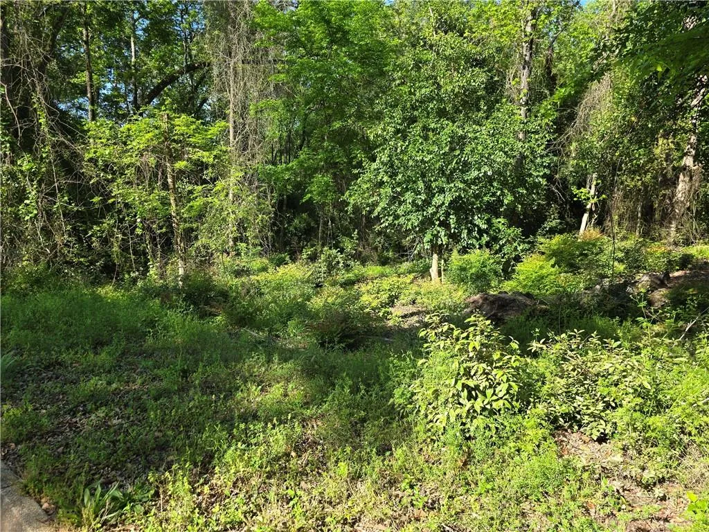 Additional image 6 of Country Club Drive, Eufaula, AL 36027